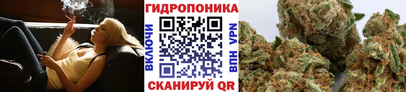 Купить закладки  Медвежьегорск  Бошки Шишки Bruce Banner 